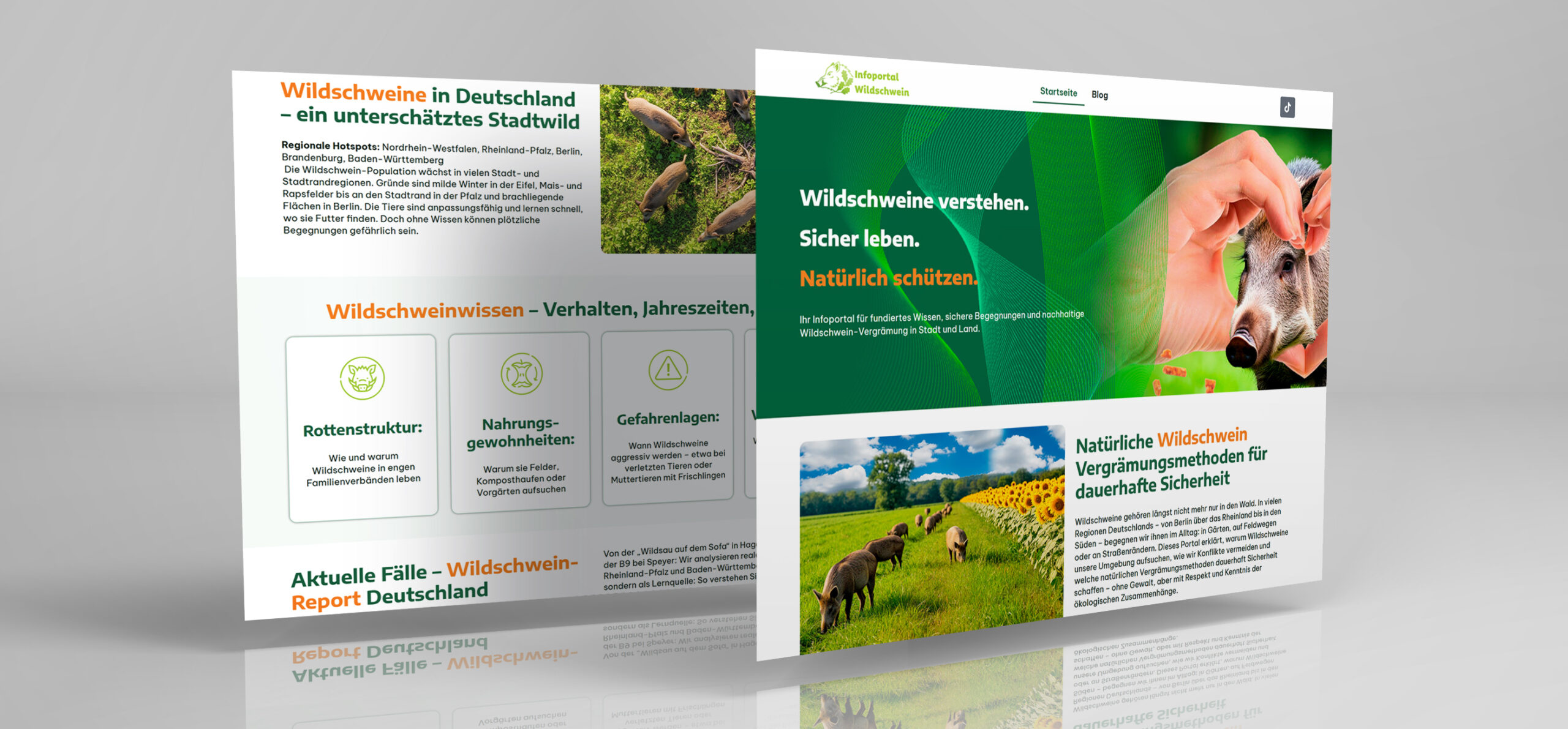 Web-Page_Wildschweinportal